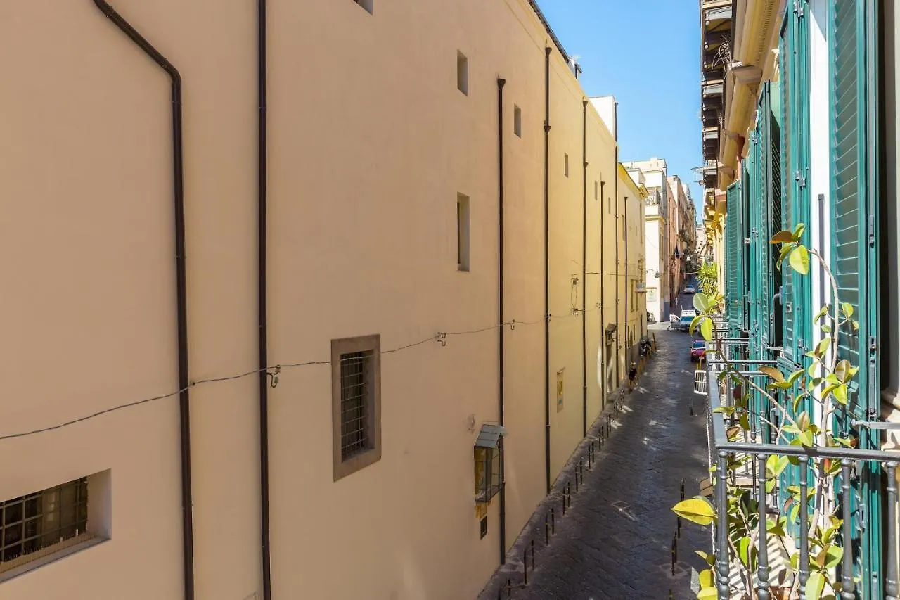 Design & Studio Duplex At National Museum Naples Italy